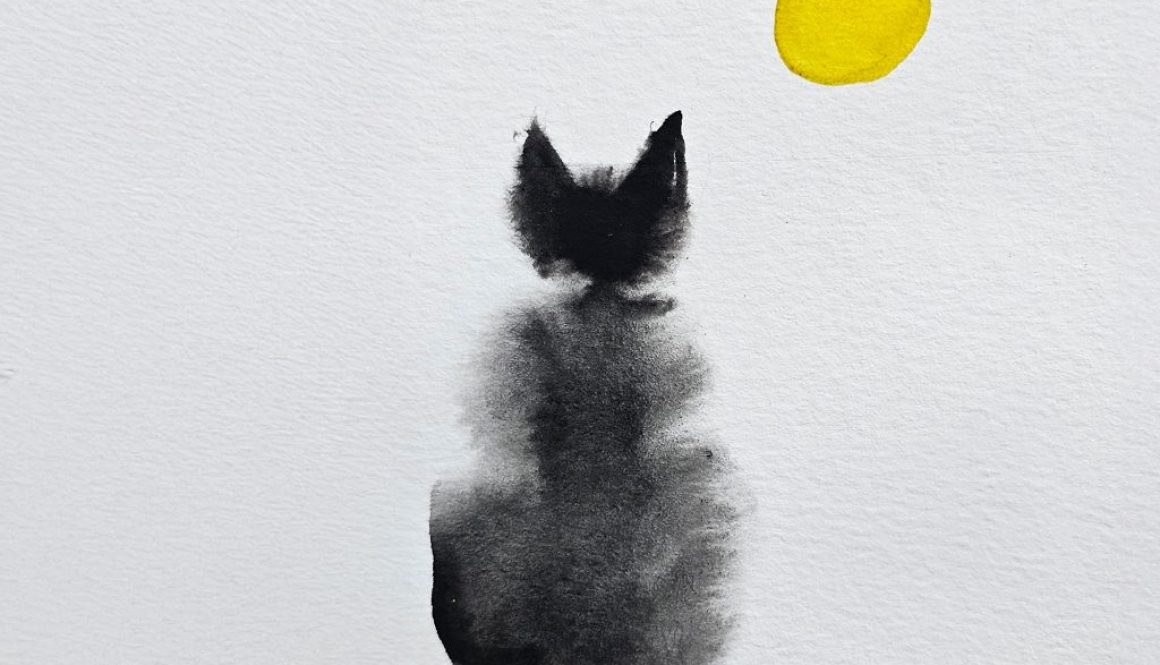 536285278_1288570449716795_4011187171683210602_n