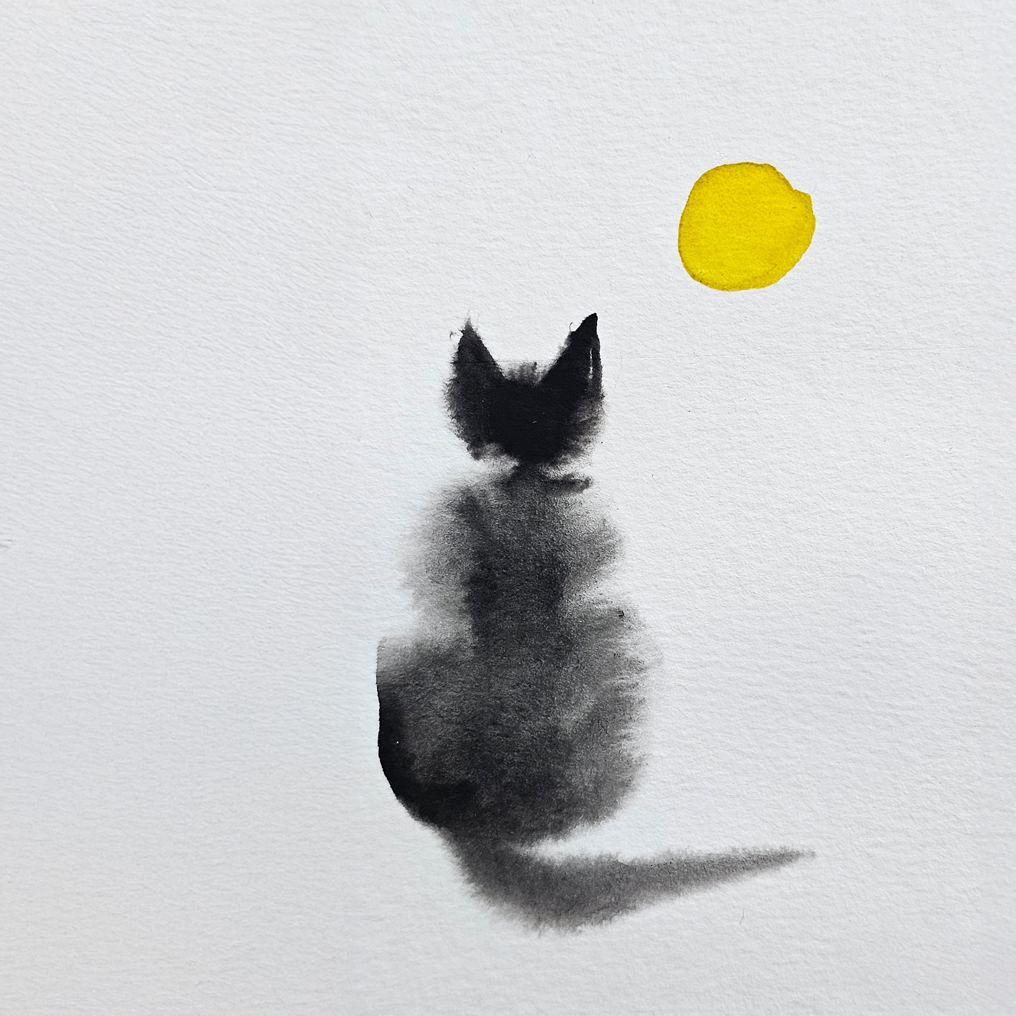 536285278_1288570449716795_4011187171683210602_n